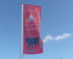 KLC Flagge